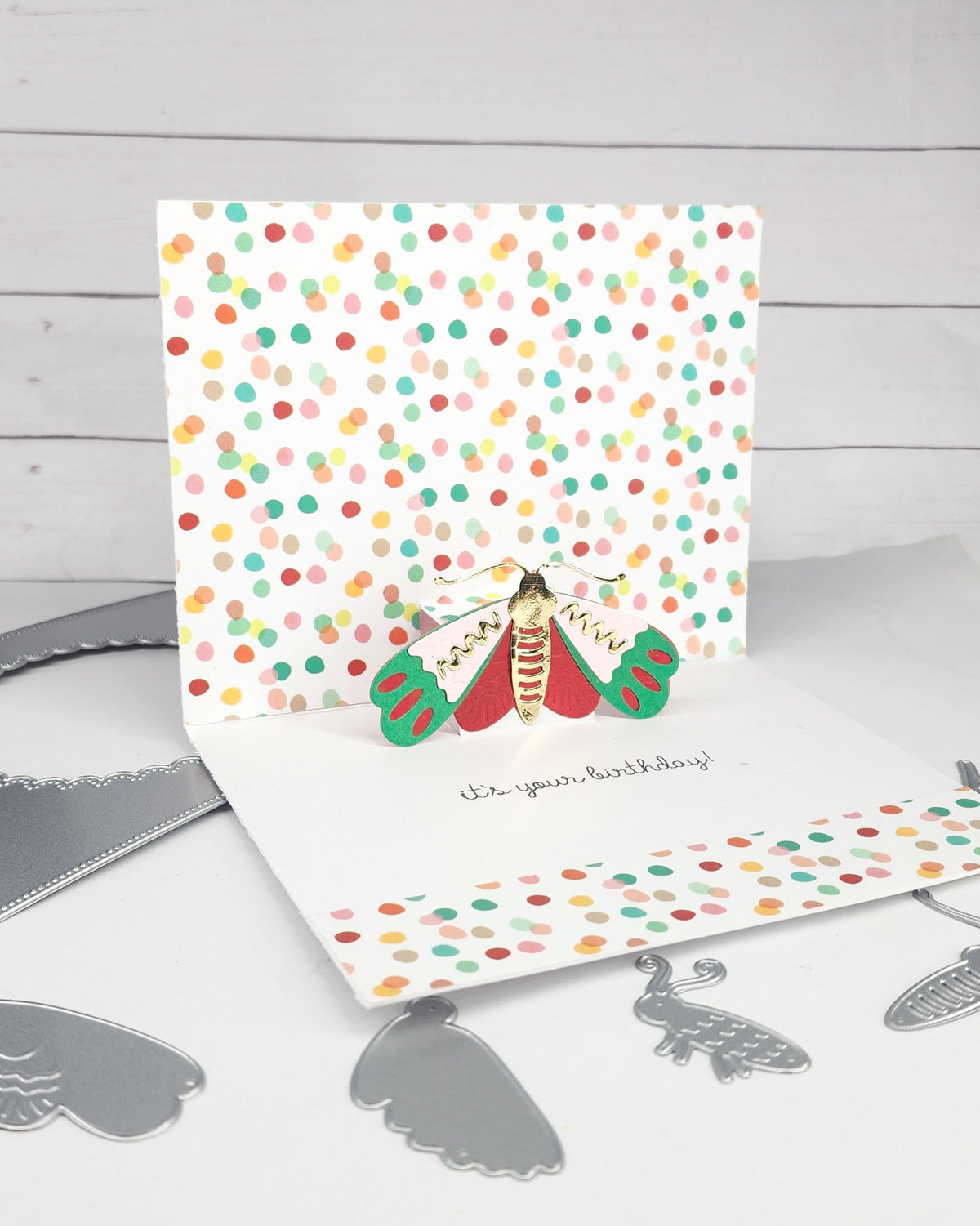 pop-up card with shaker frame and moths Betty and Twyla