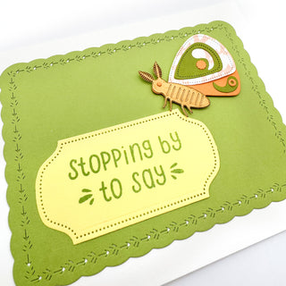 Card Kit - Make a Moth (2 kits + Products + Videos)