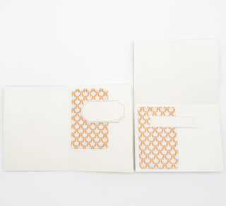 Card Kit - Make a Moth (2 kits + Products + Videos)