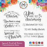 Special Kind of Charm Stamp Set