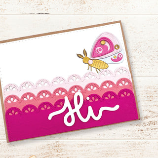 Limited Time New Product Bundle (4)