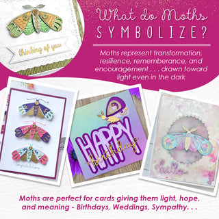 Make a Moth Die Set - Stevie